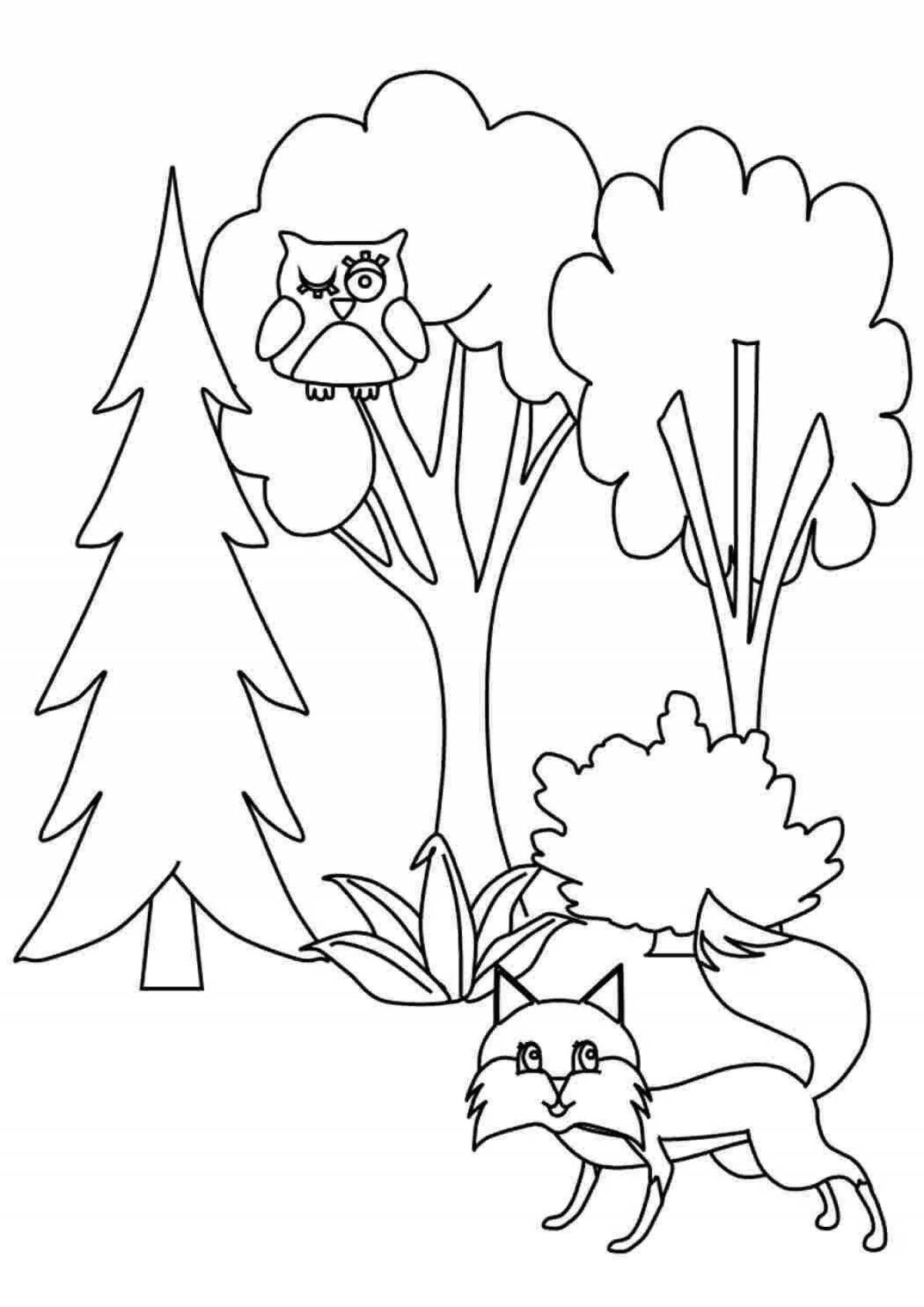 Fun coloring forest