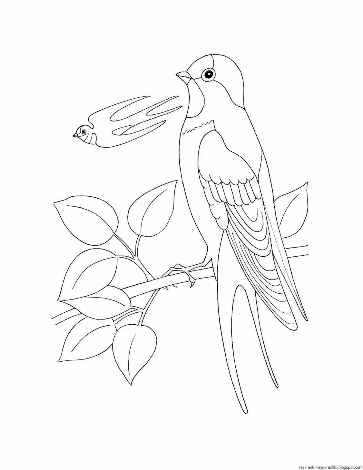 Adorable coloring book of migratory birds for 6-7 year olds