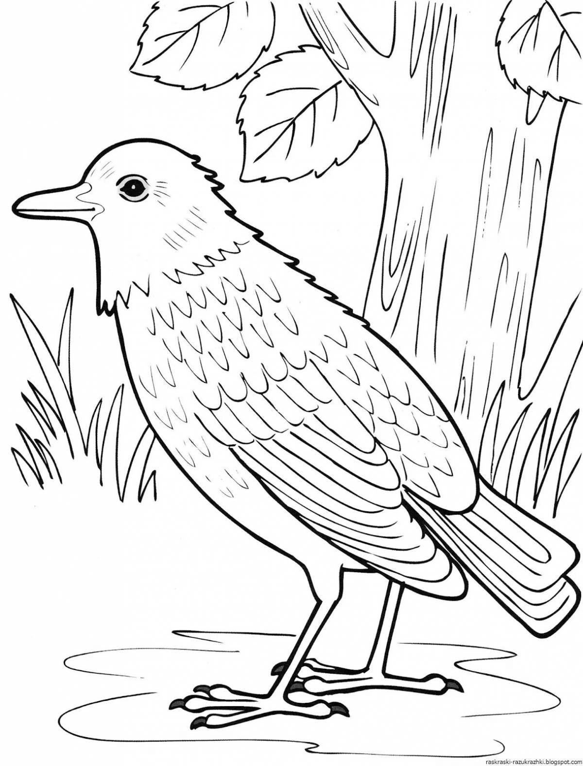 Coloring pages with cute migratory birds for 6-7 year olds
