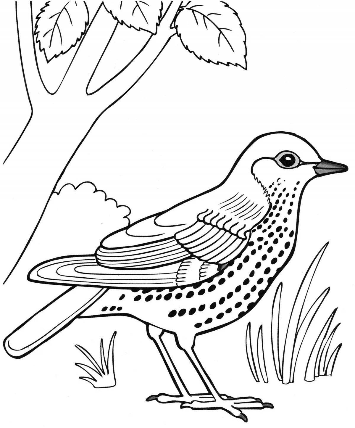 Coloring pages migratory birds coloring pages for children 6-7 years old