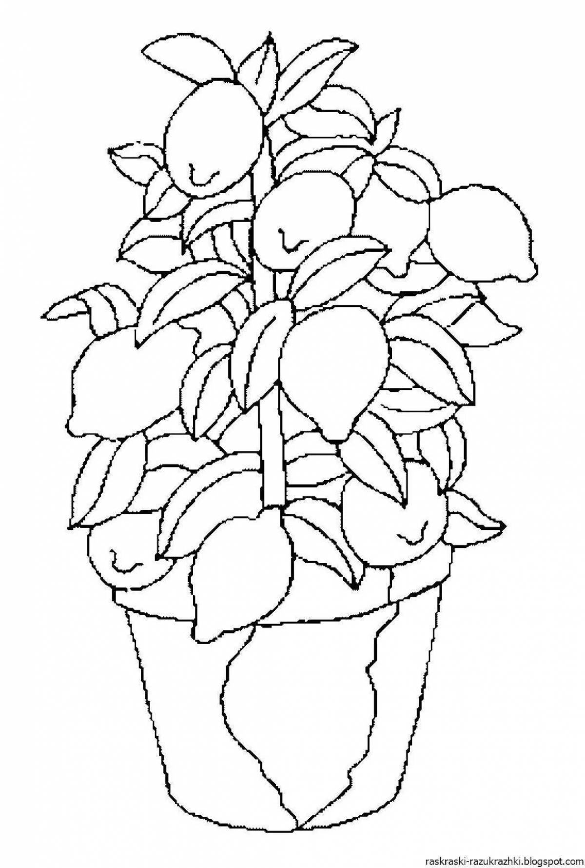 Amazing indoor flower coloring pages for 4-5 year olds