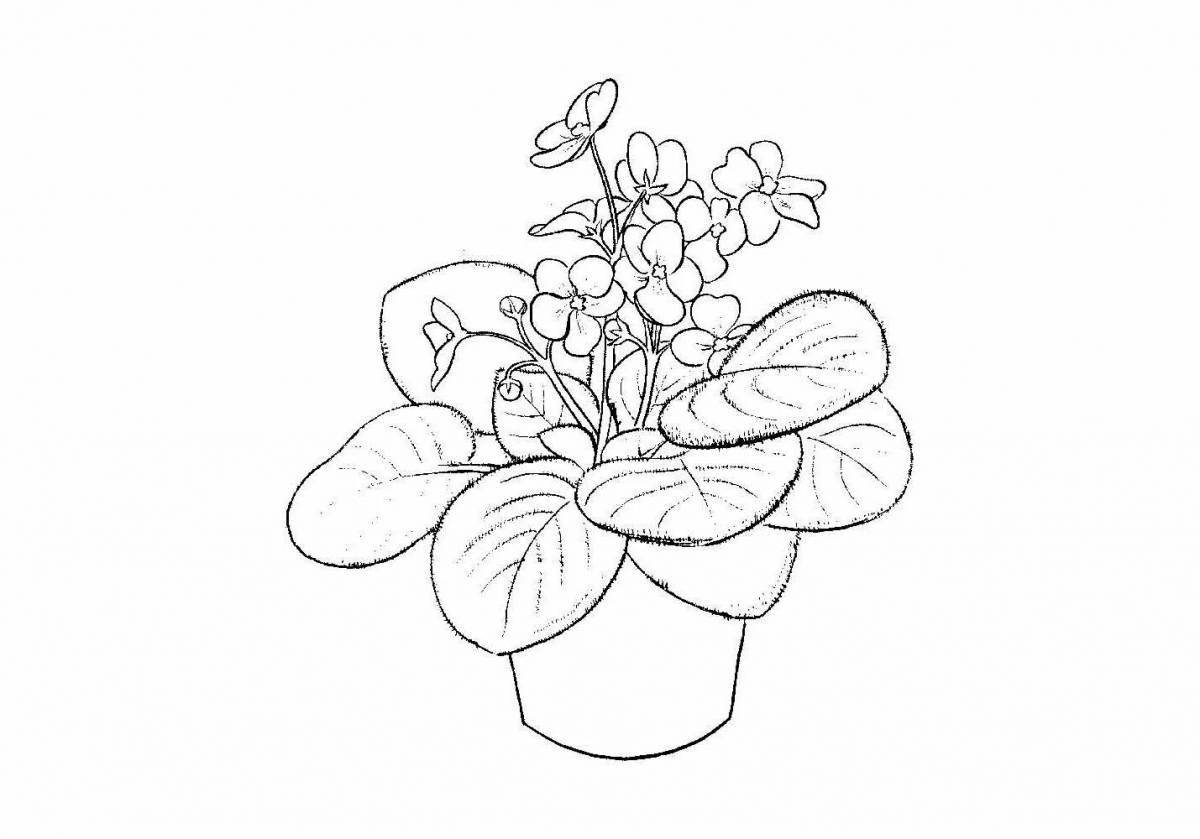 Cute Indoor Flowers Coloring Page for 4-5 year olds