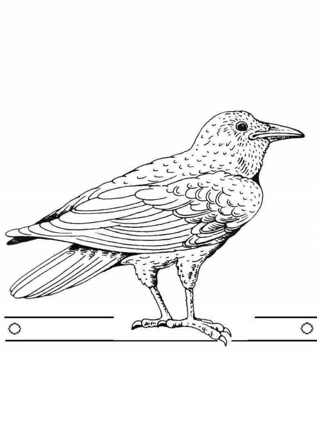 Coloring starling for children