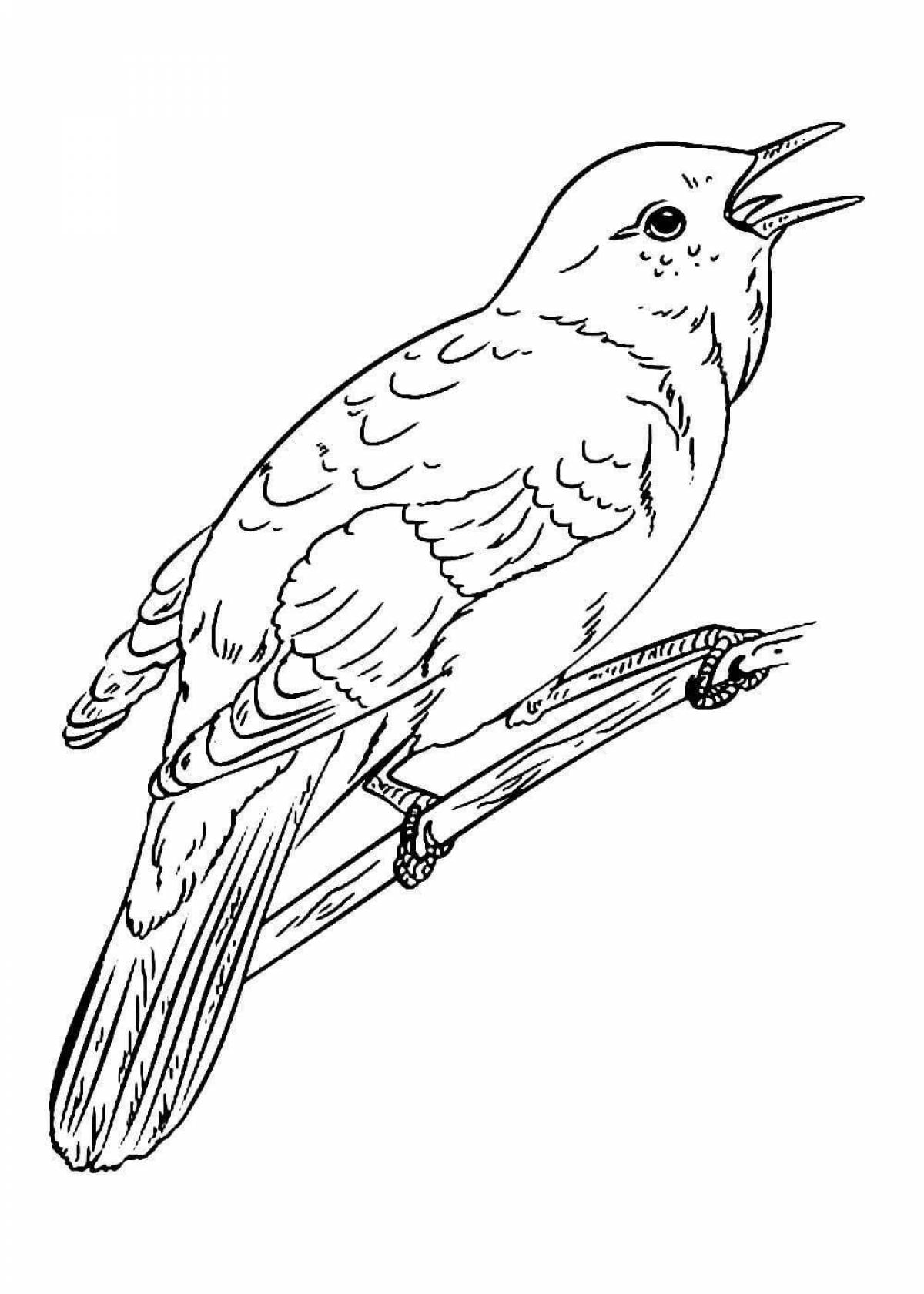 Playful starling coloring book for kids