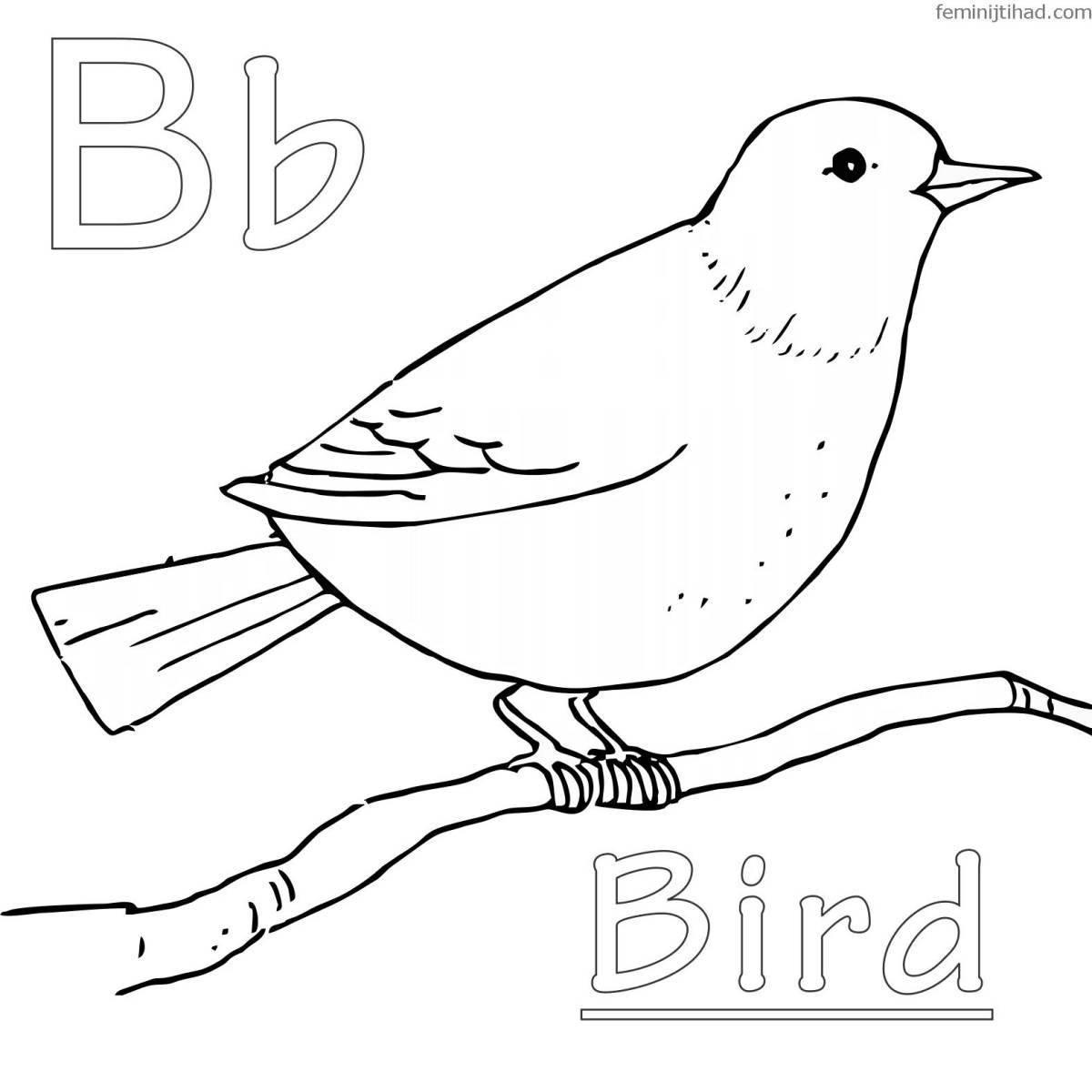 Charming starling coloring book for kids