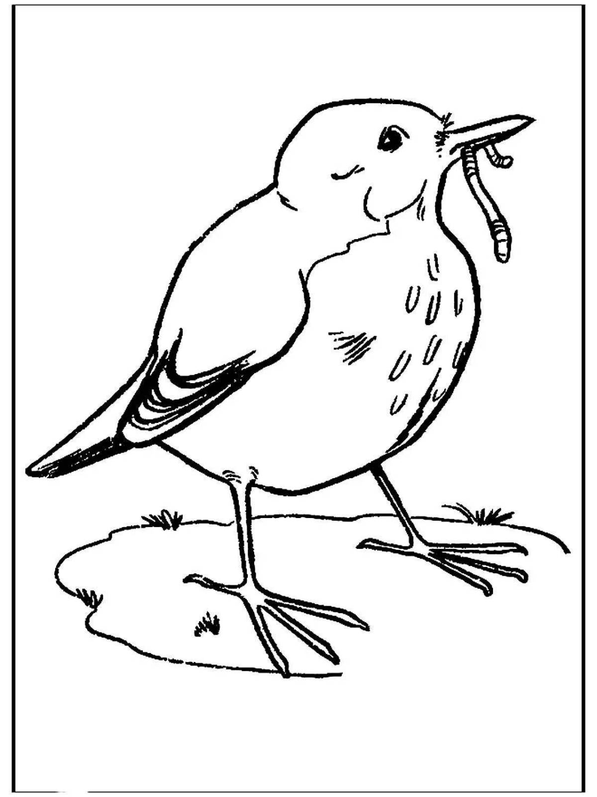 Sparkling starling coloring book for kids