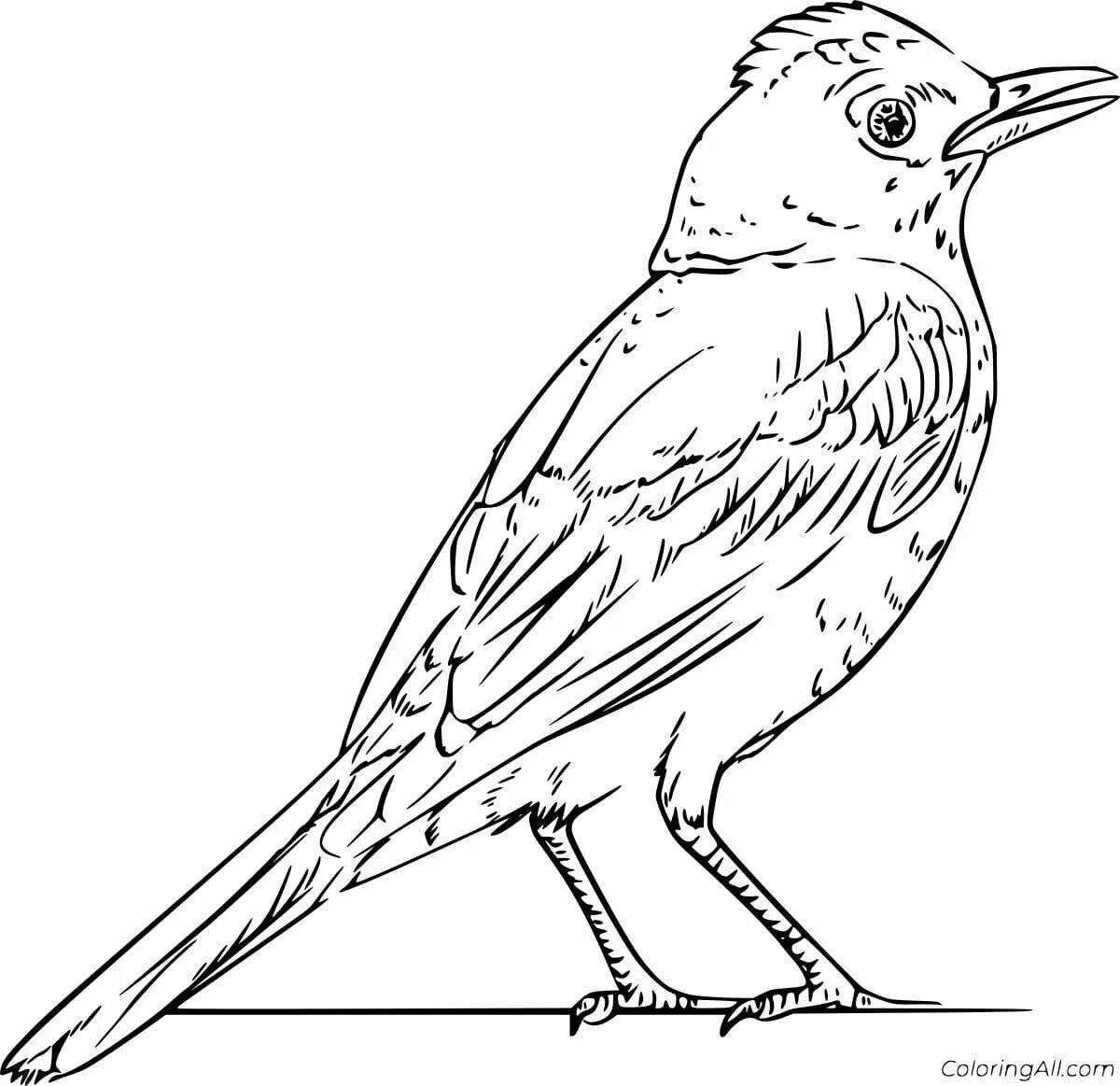 A striking starling coloring book for kids