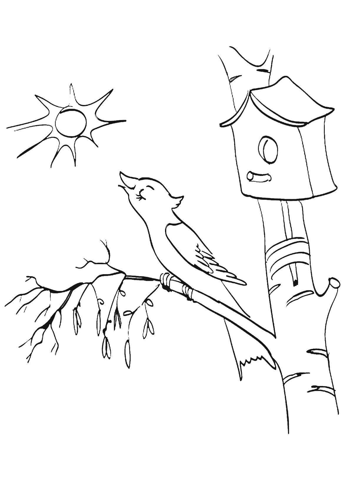 Courageous starling coloring book for kids