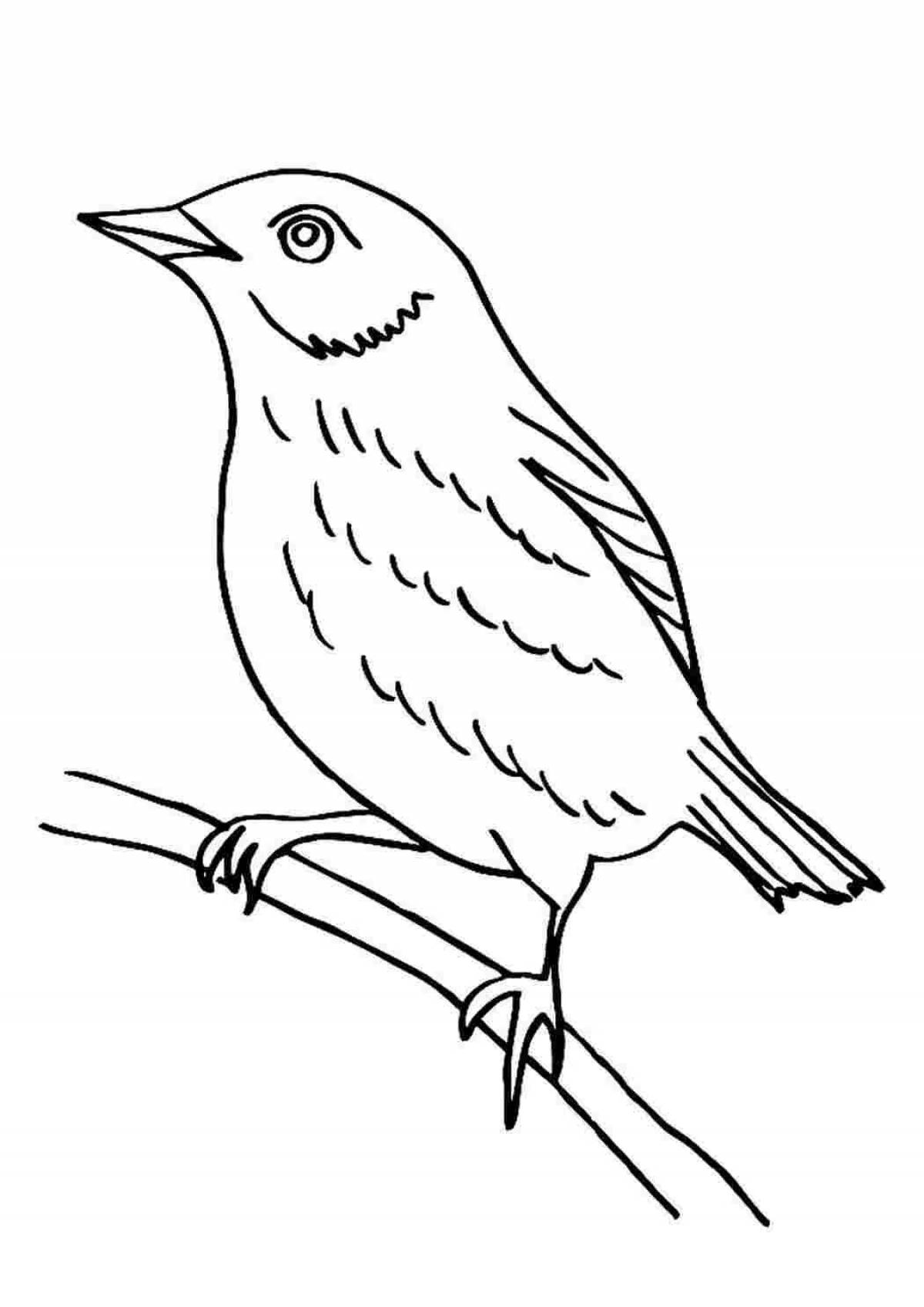 Creative starling coloring book for kids