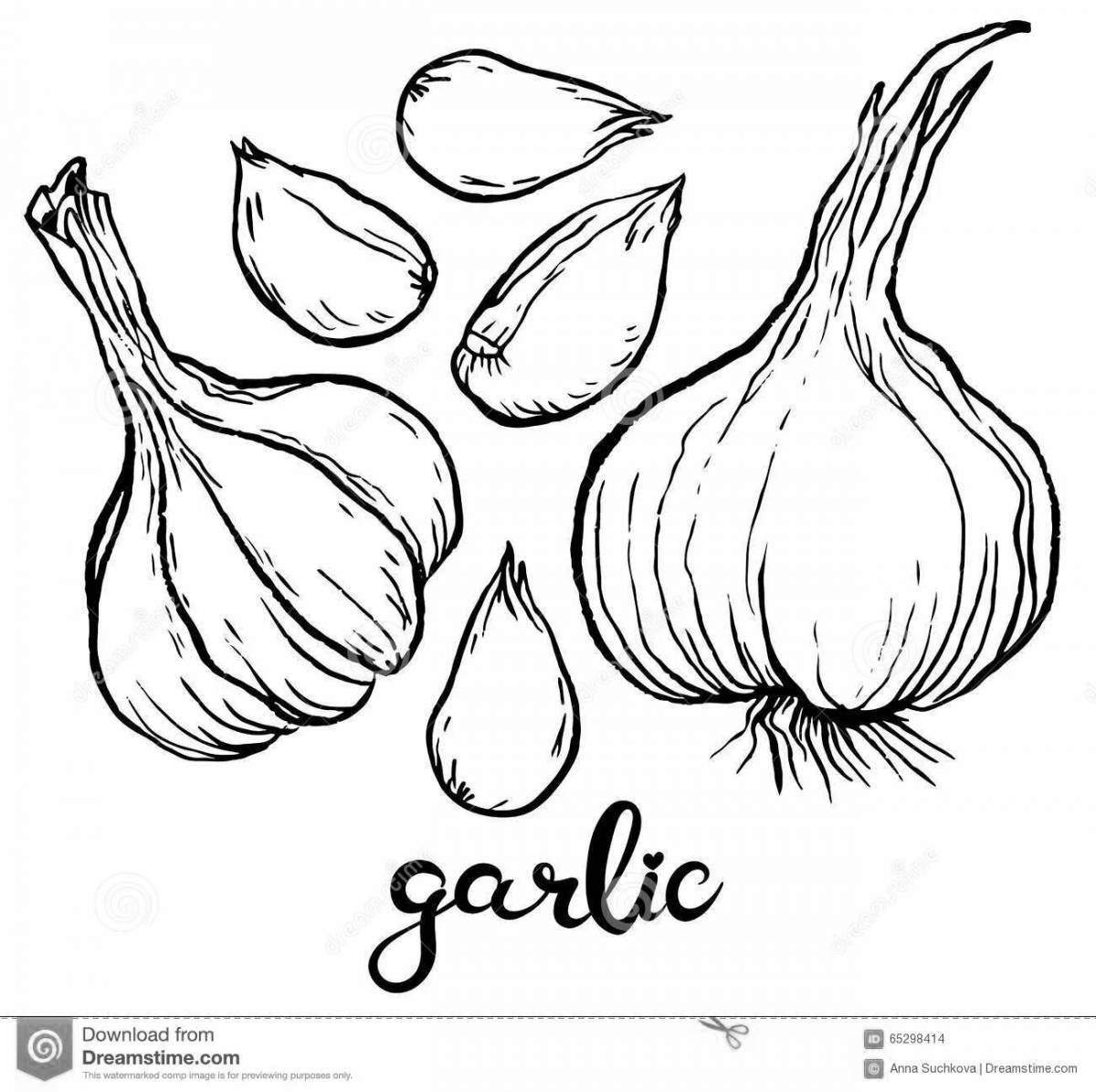 Fun garlic coloring for kids
