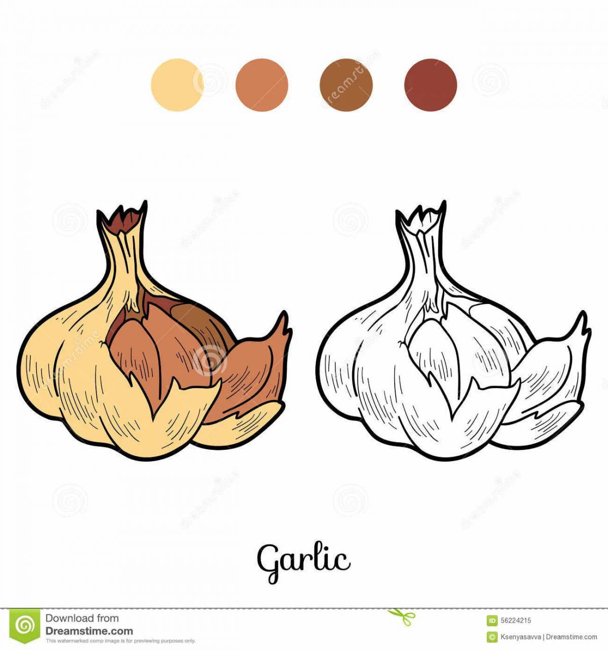 Children's garlic #3