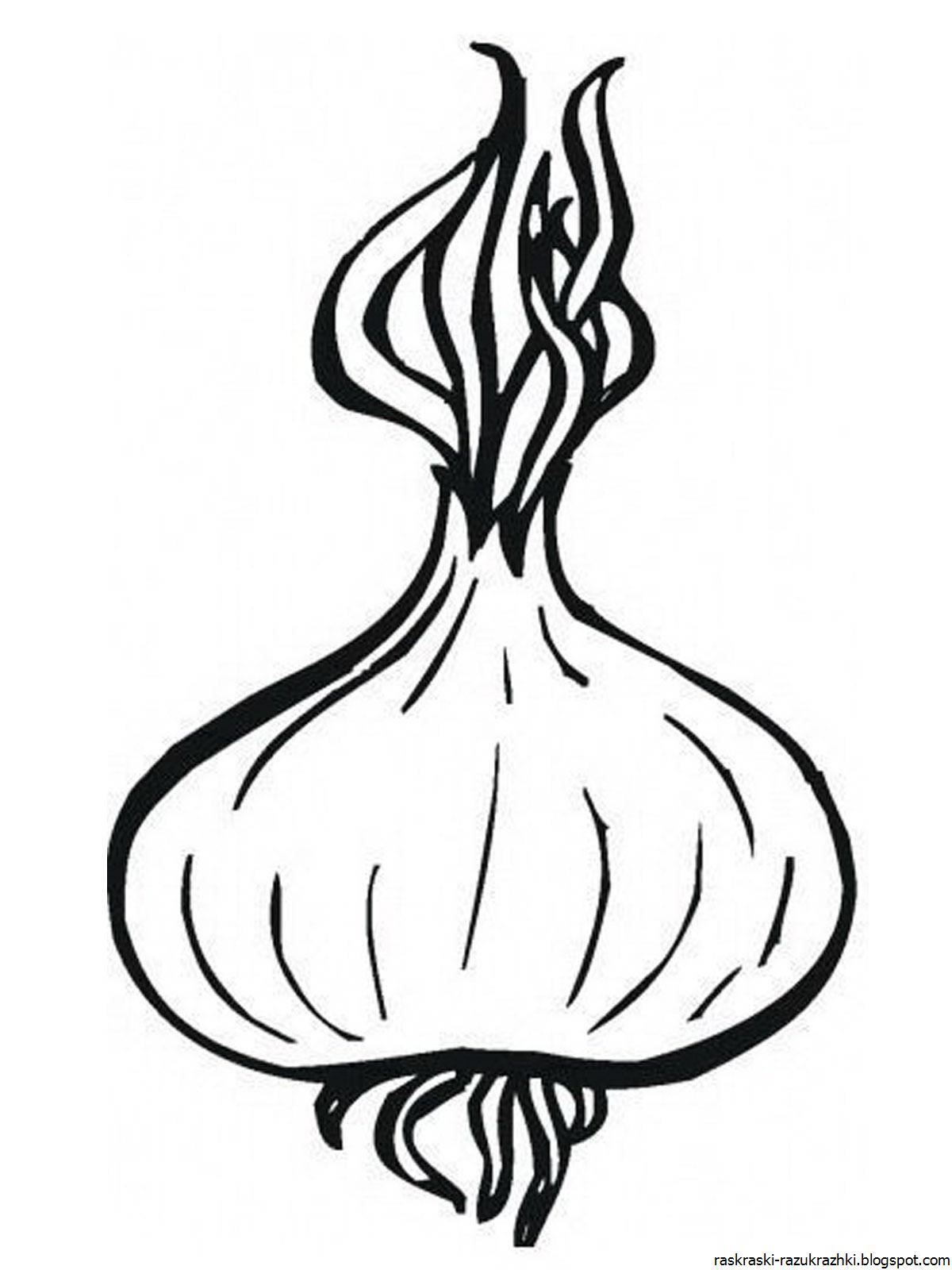 Children's garlic #4