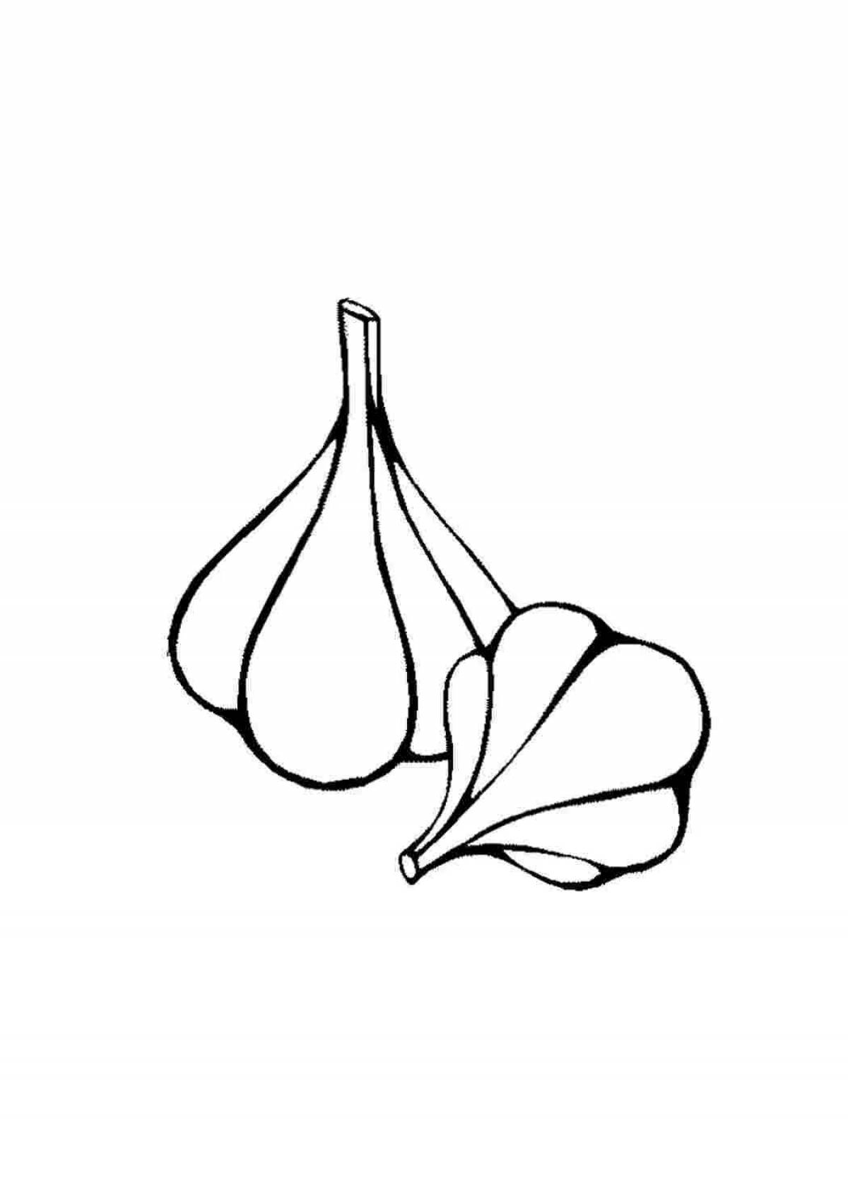 Children's garlic #8