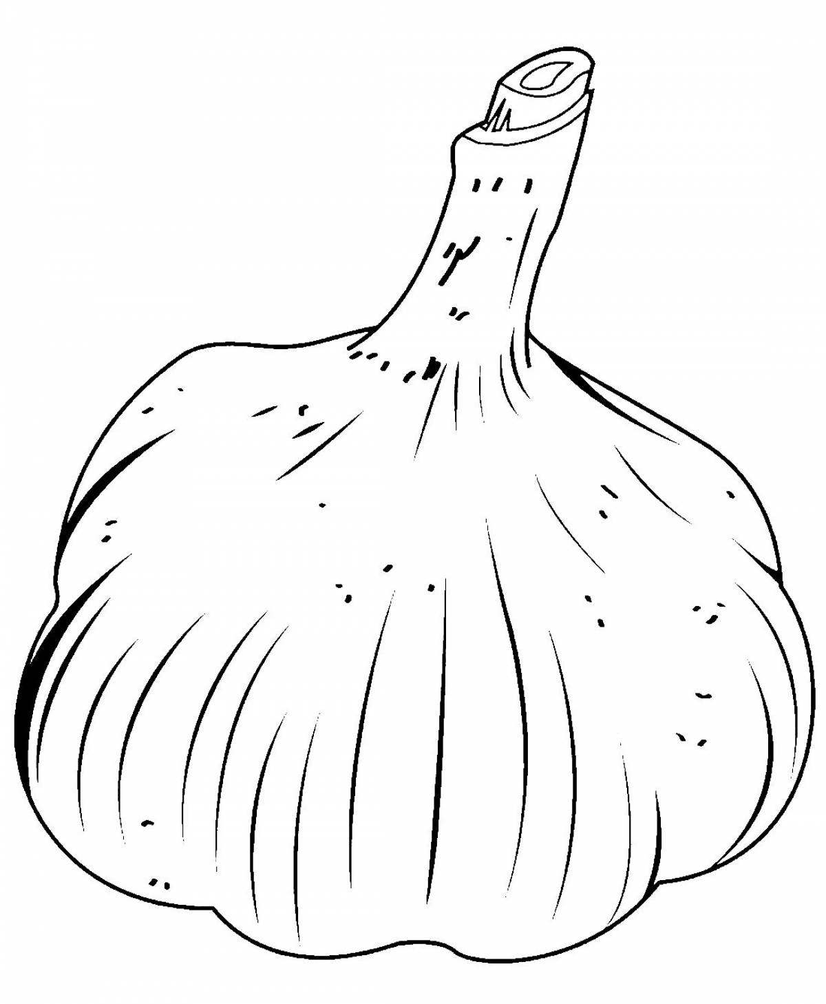 Children's garlic #15