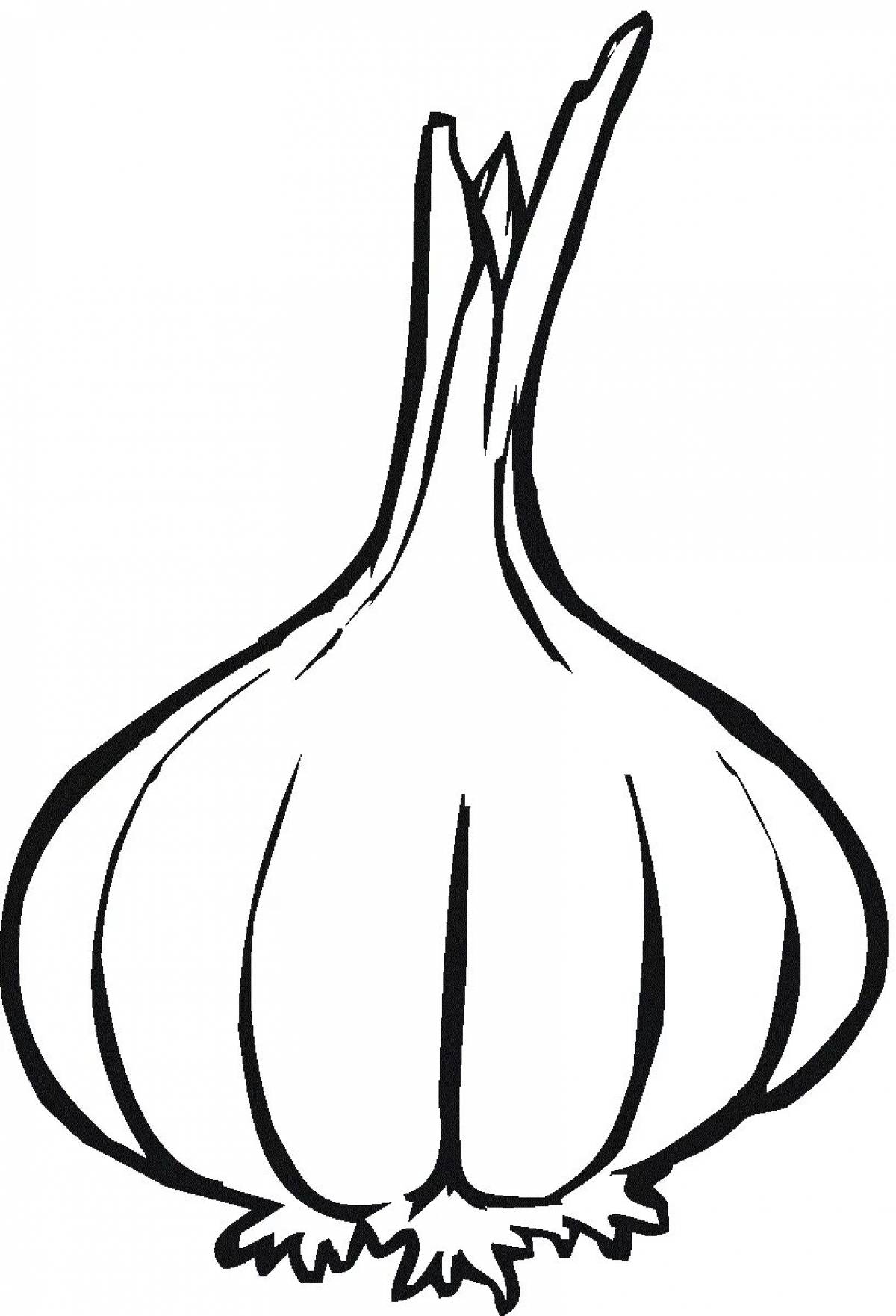 Children's garlic #19