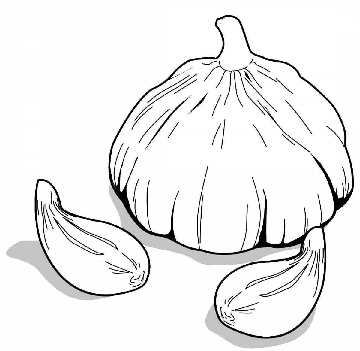 Children's garlic #22