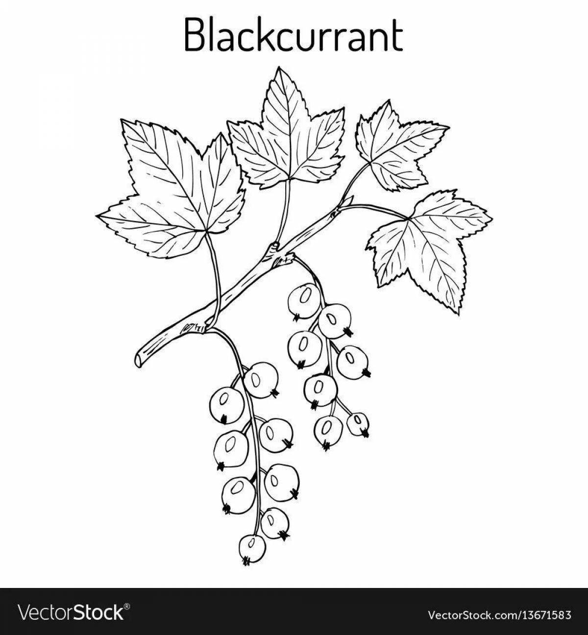 Merry currant coloring book for kids