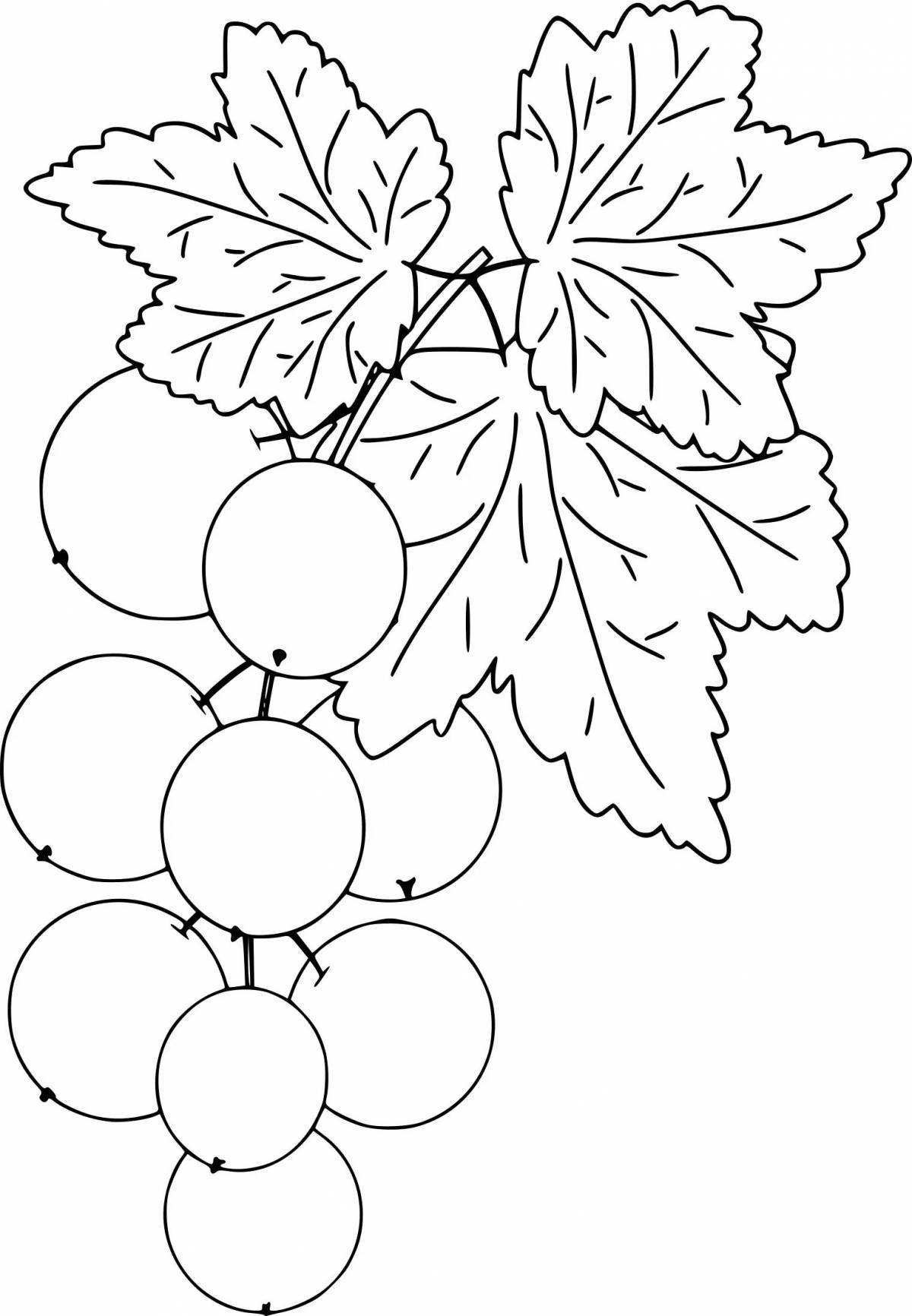 Bright currant coloring book for preschoolers