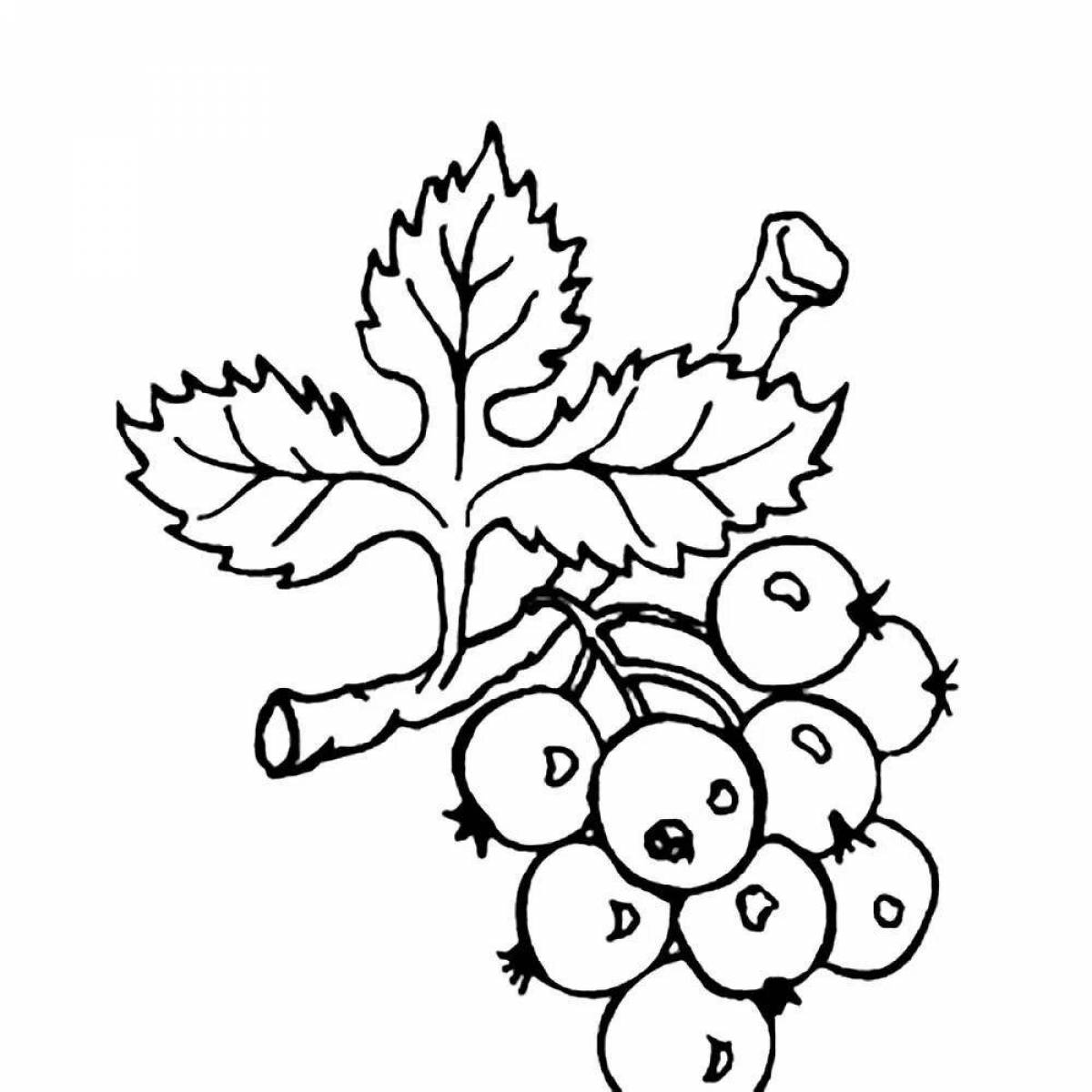 Amazing currant coloring page for schoolchildren