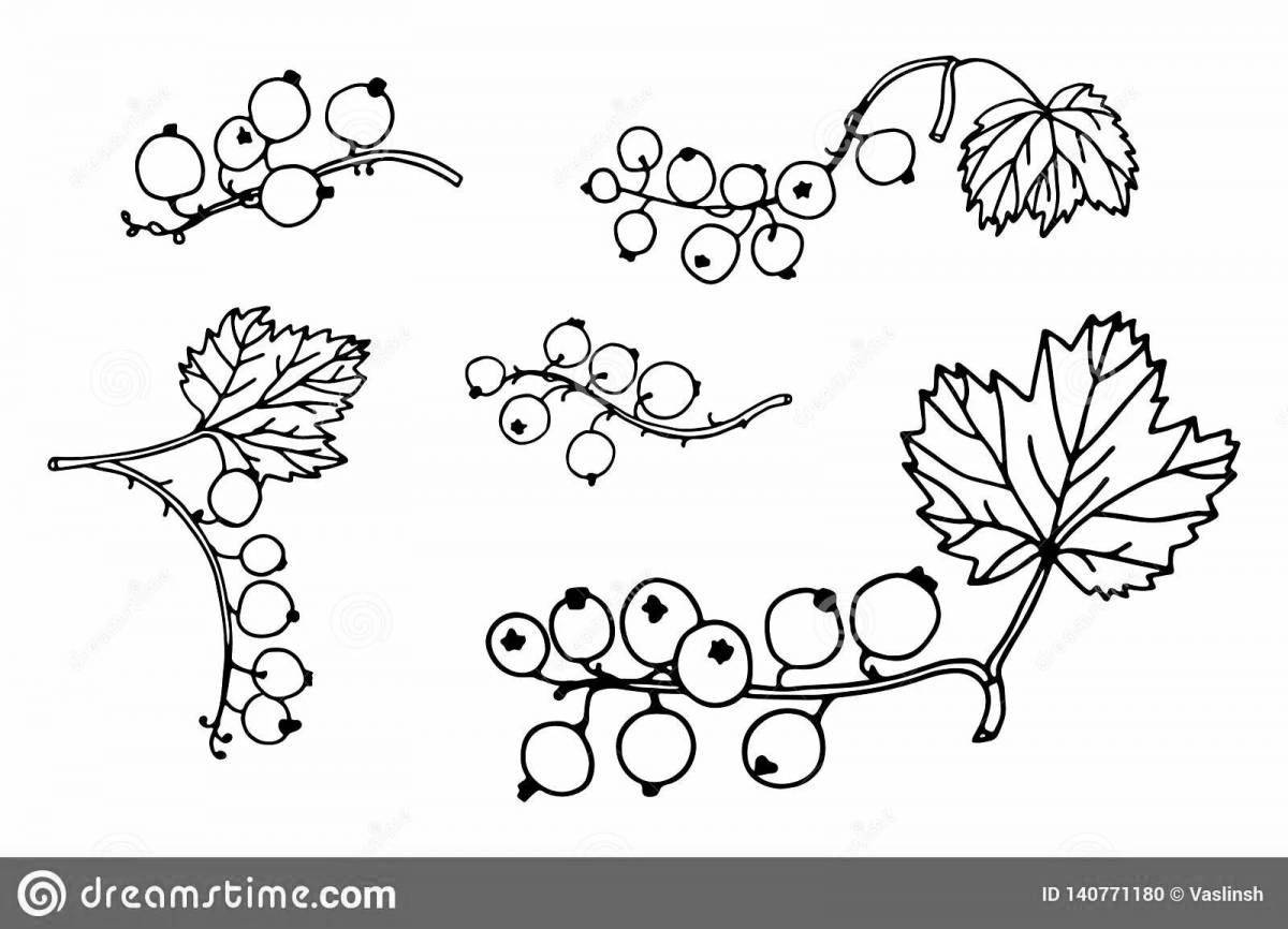 Fun currant coloring book for students
