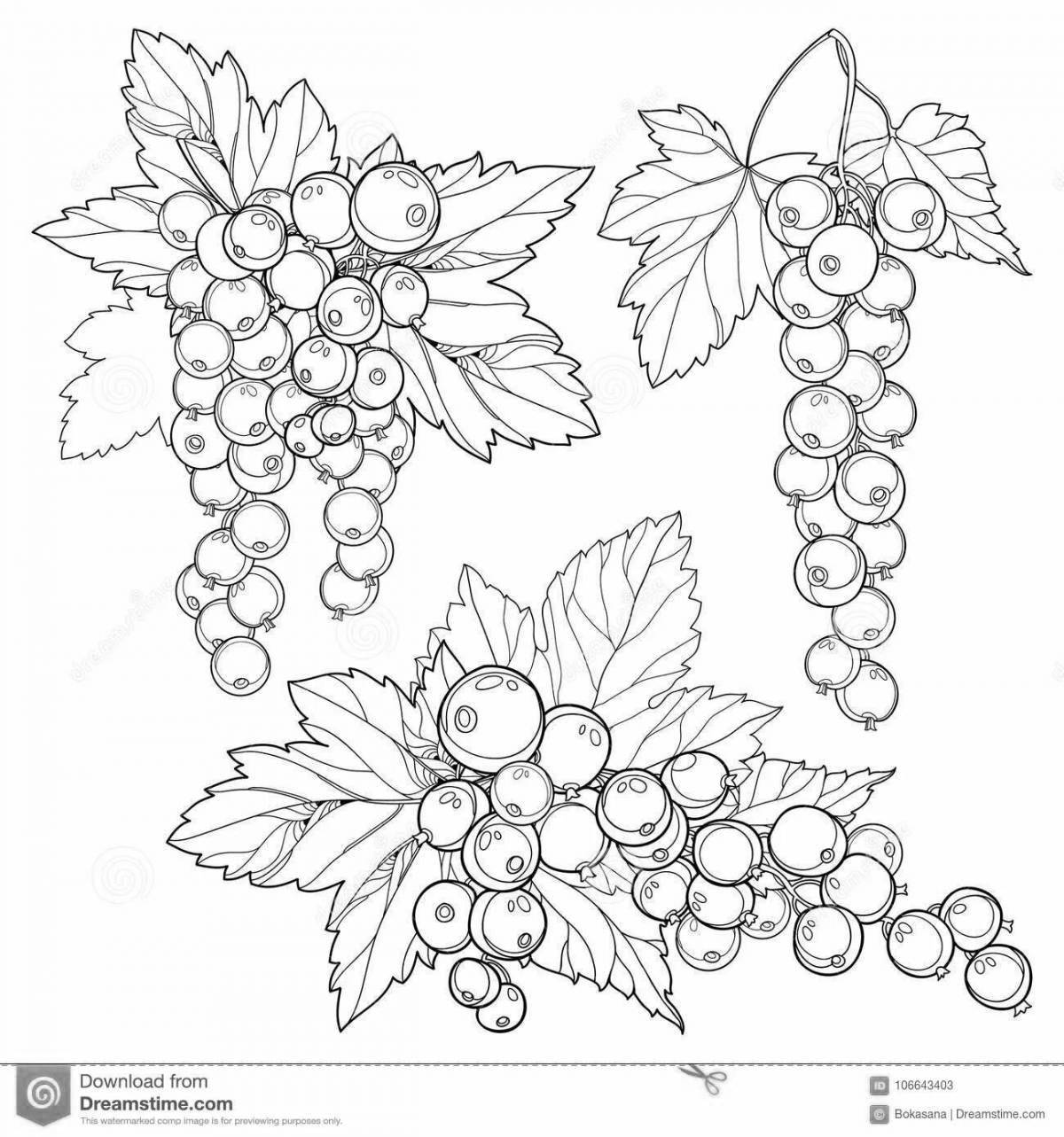 Coloring book sparkling currant for the little ones