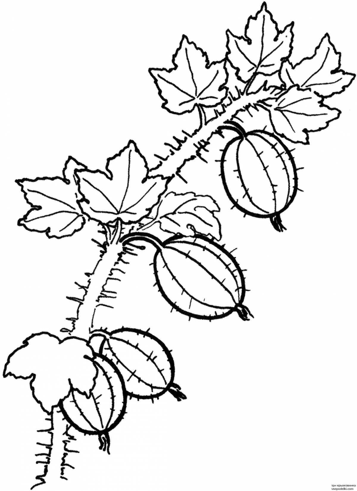 Animated Currant Coloring Page for Toddlers