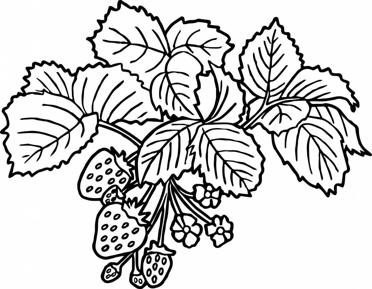 Live currant coloring for preschoolers