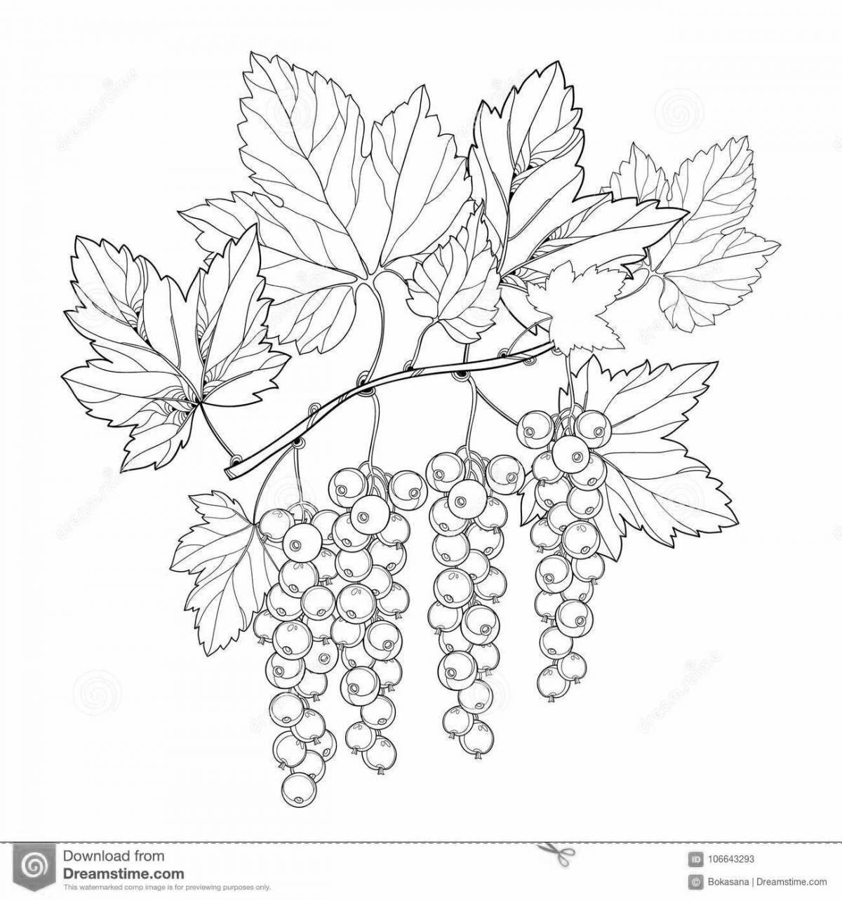 Exciting currant coloring book for babies