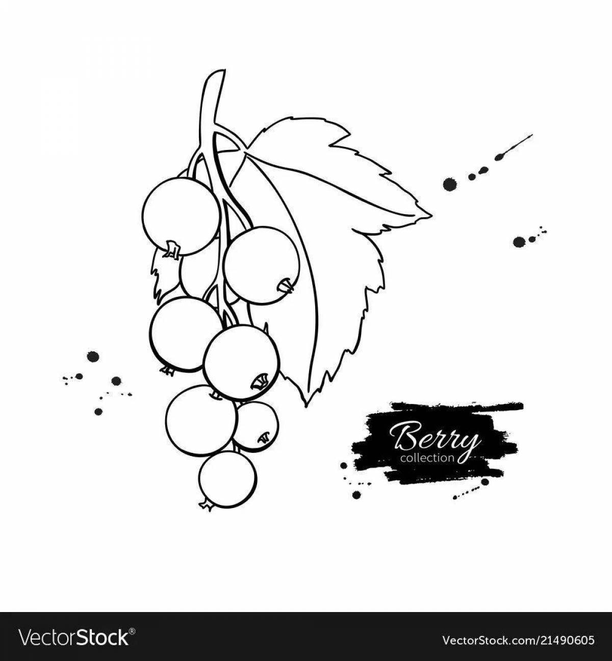 Fun currant coloring book for kids