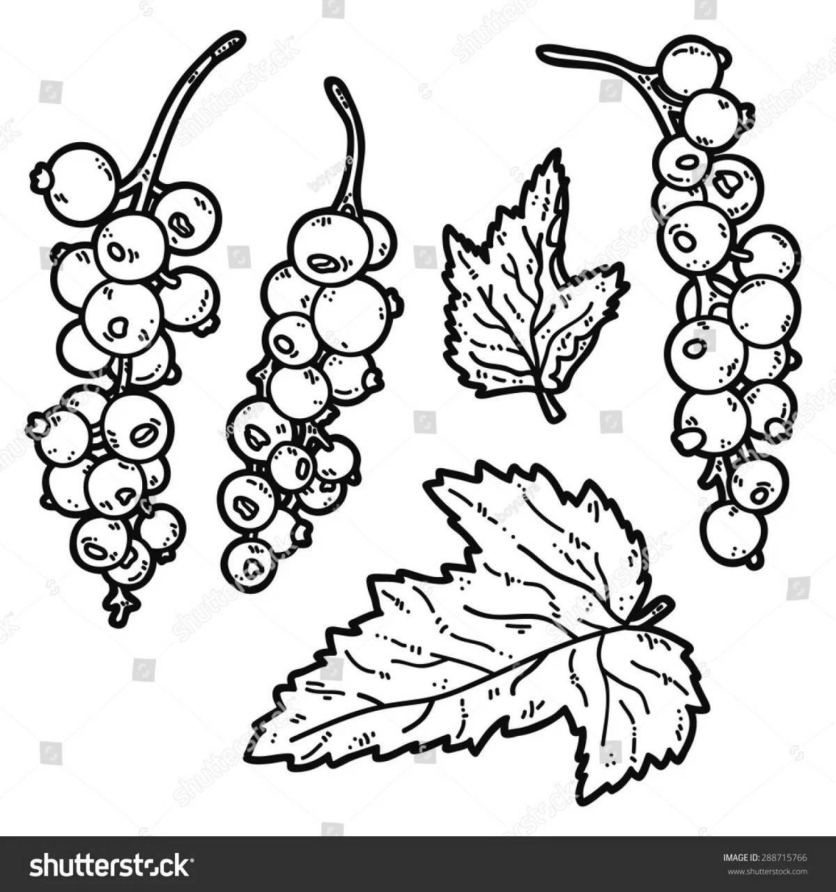 Funny currant coloring page for students