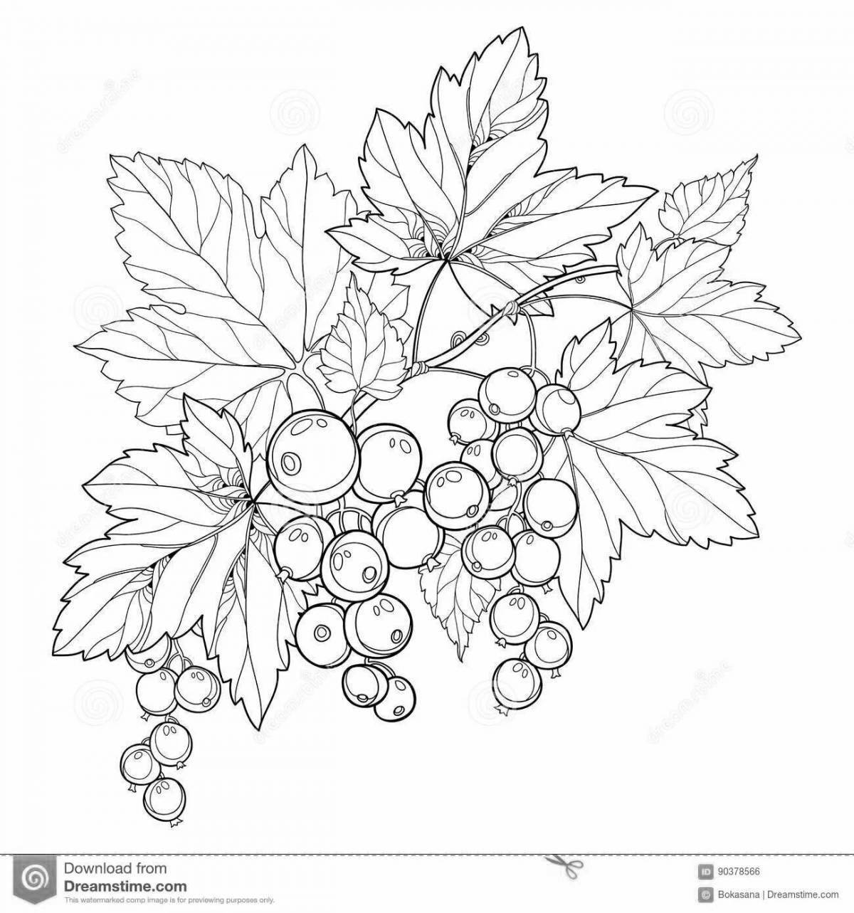 Merry currant coloring for children