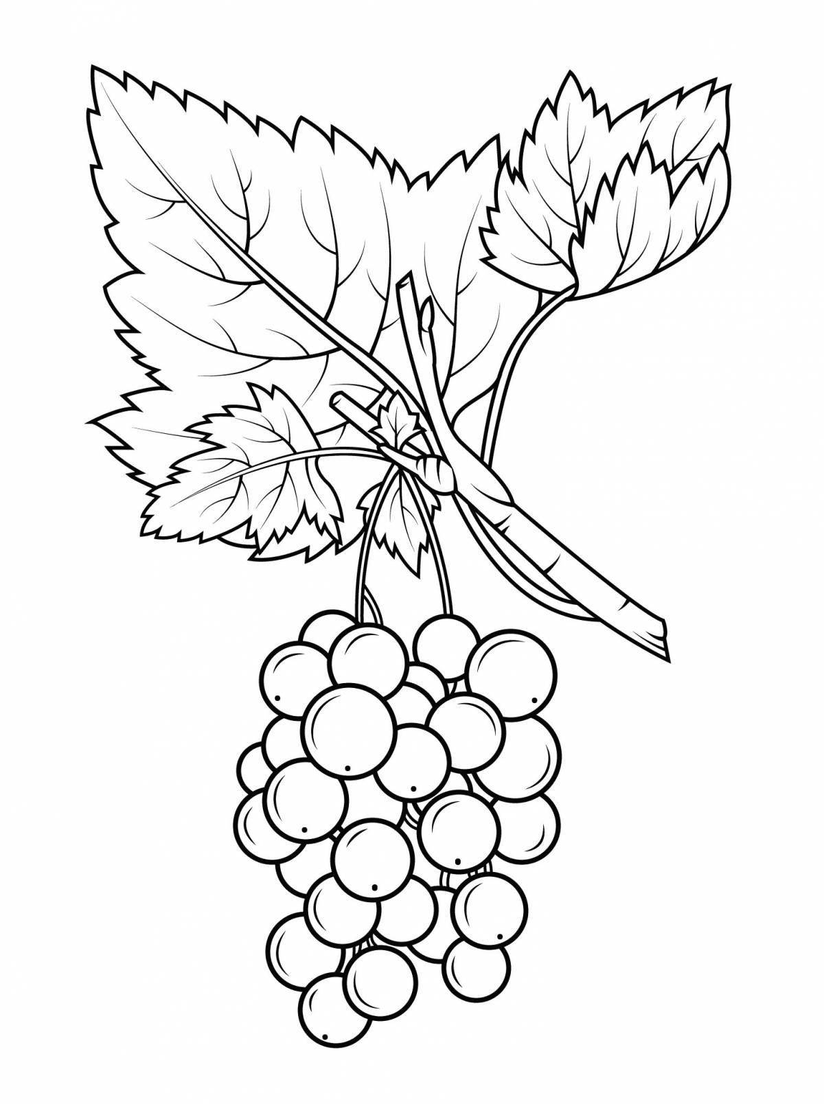 Blissful currant coloring book for preschoolers