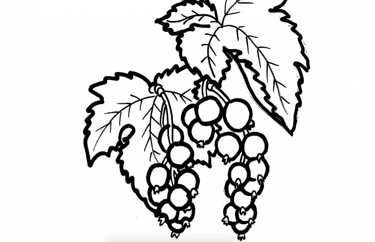 Invigorating Currant Coloring Page for Juniors