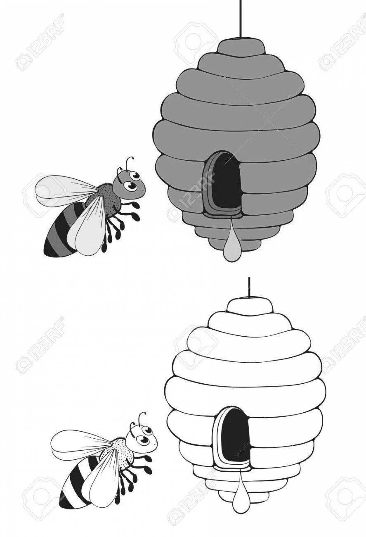 Раскраски Пчела — Скачать или Распечатать бесплатно