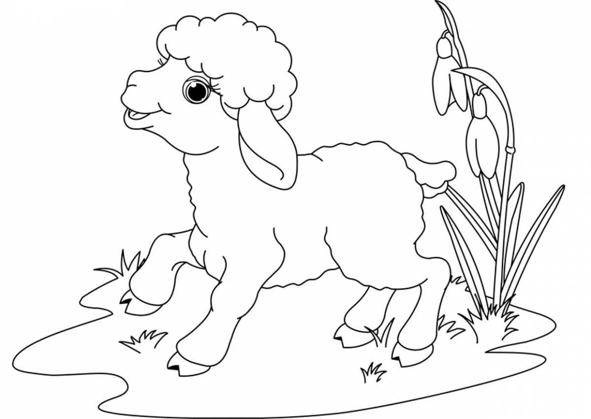 Fluffy coloring book lamb for kids