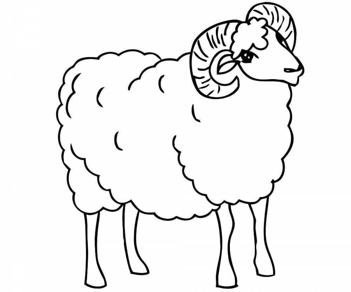 Fluffy lamb coloring book for kids