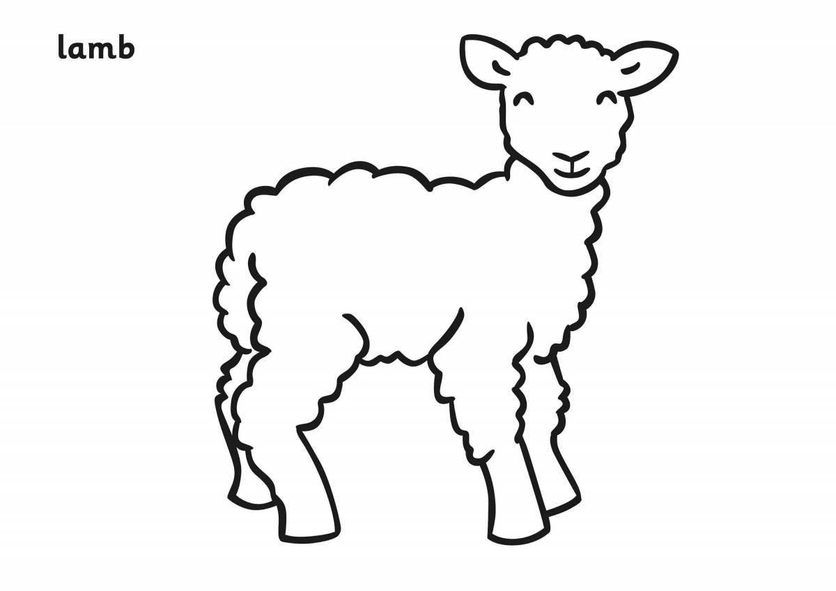 Colouring lamb for children