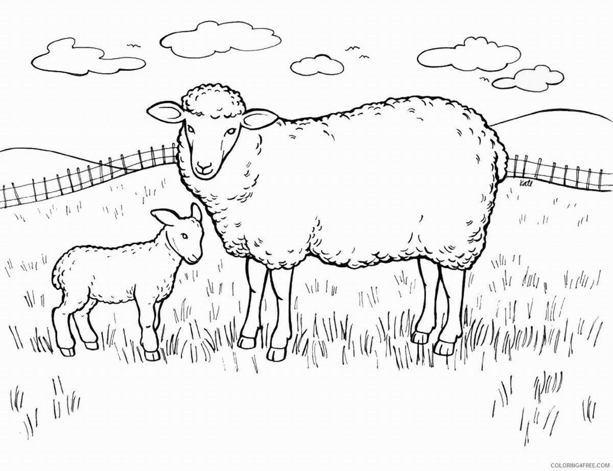 Happy lamb coloring book for kids