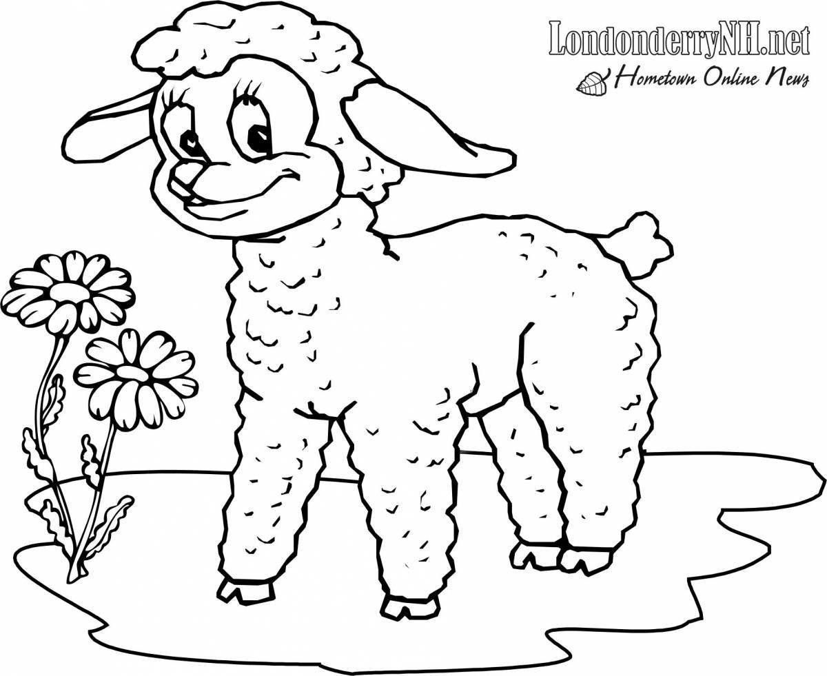 Coloring lamb for children