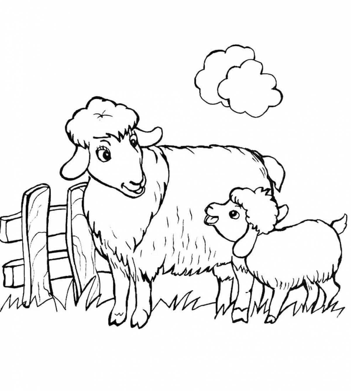 Cute lamb coloring book for kids