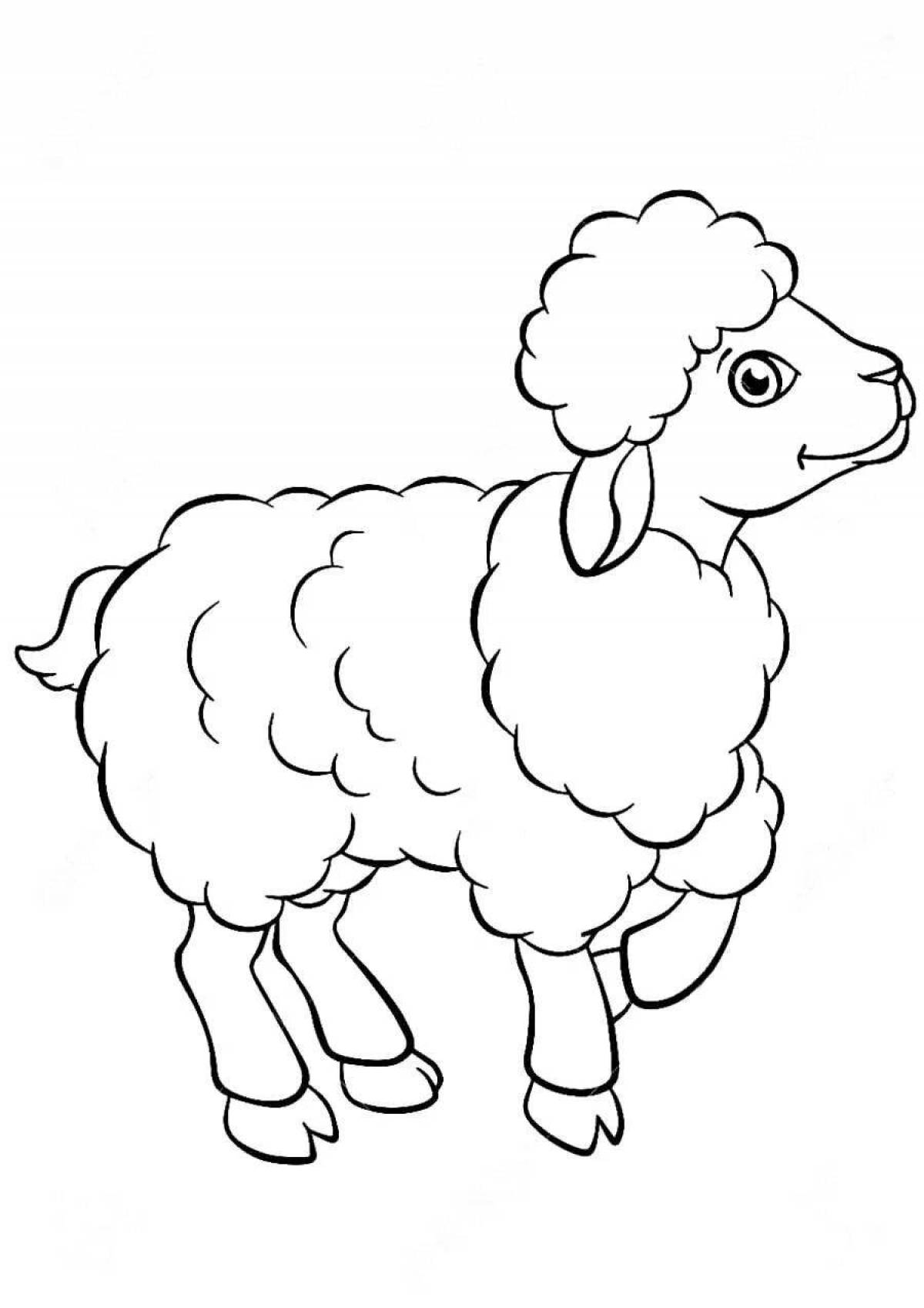 Fun coloring book lamb for kids