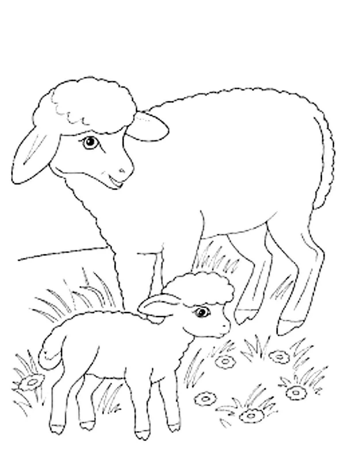 Раскраска овечка с ягнёнком – Математические картинки
