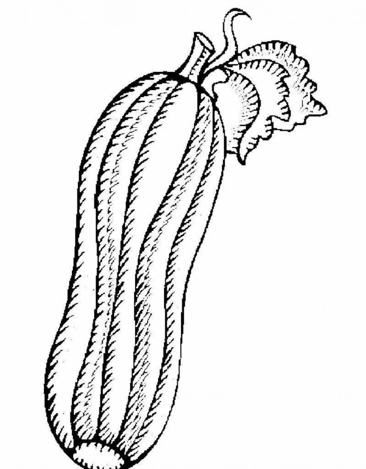 Очаровательная раскраска цуккини для детей