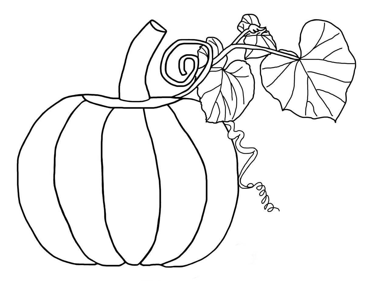 Funny zucchini coloring book for kids