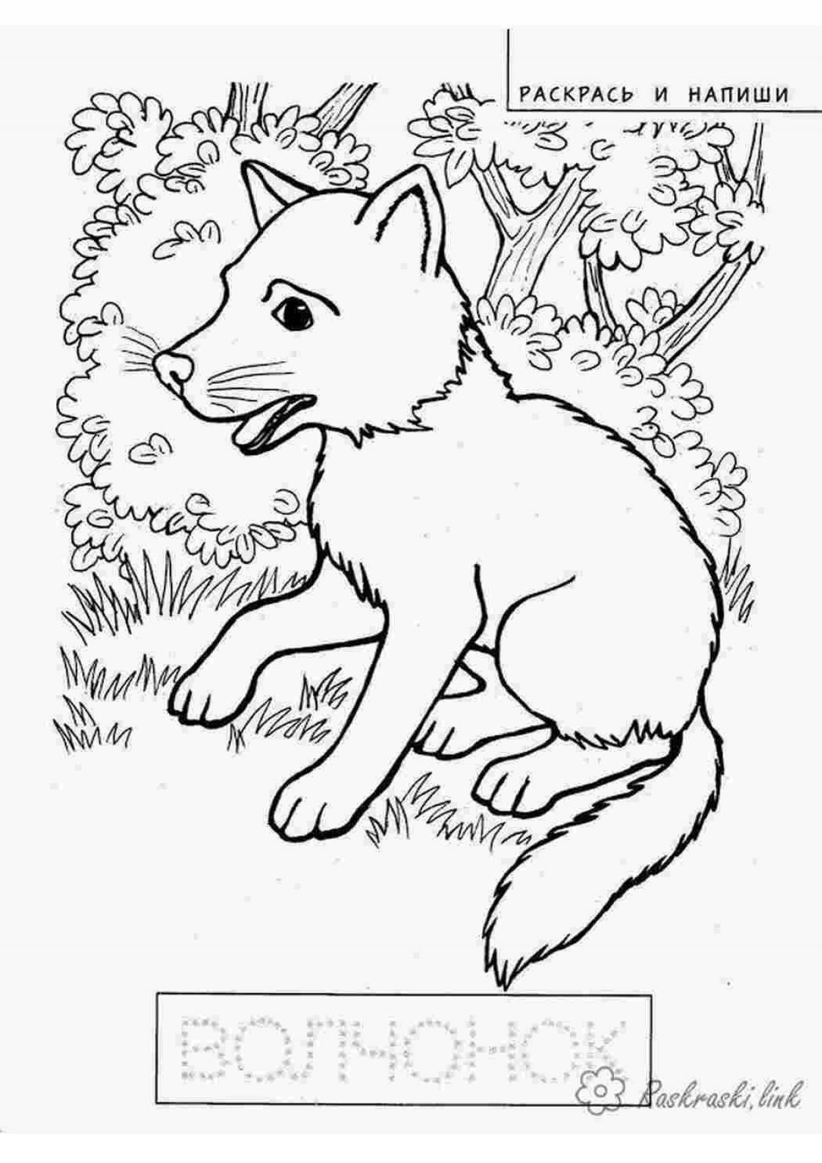 Яркая страница раскраски волчонка