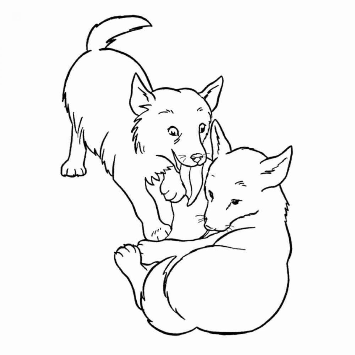 Photo Adorable wolf coloring book