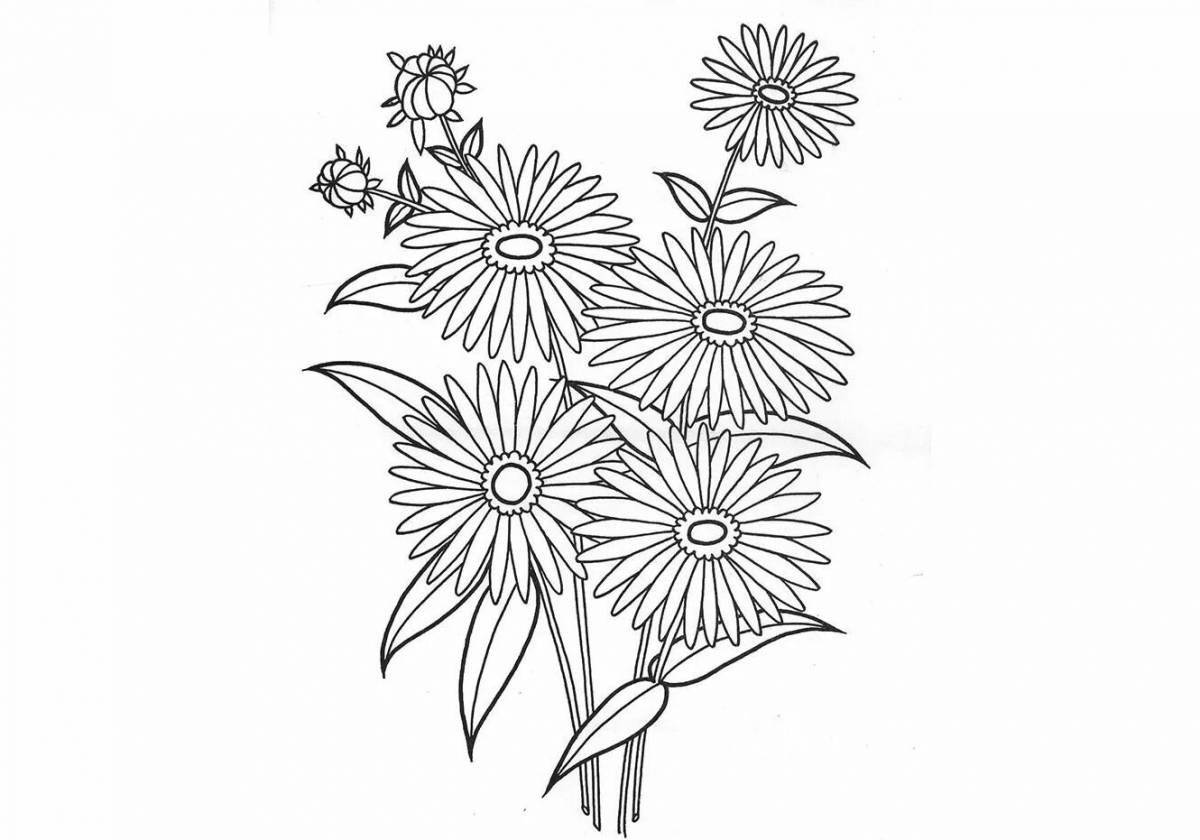 Adorable aster coloring book for kids