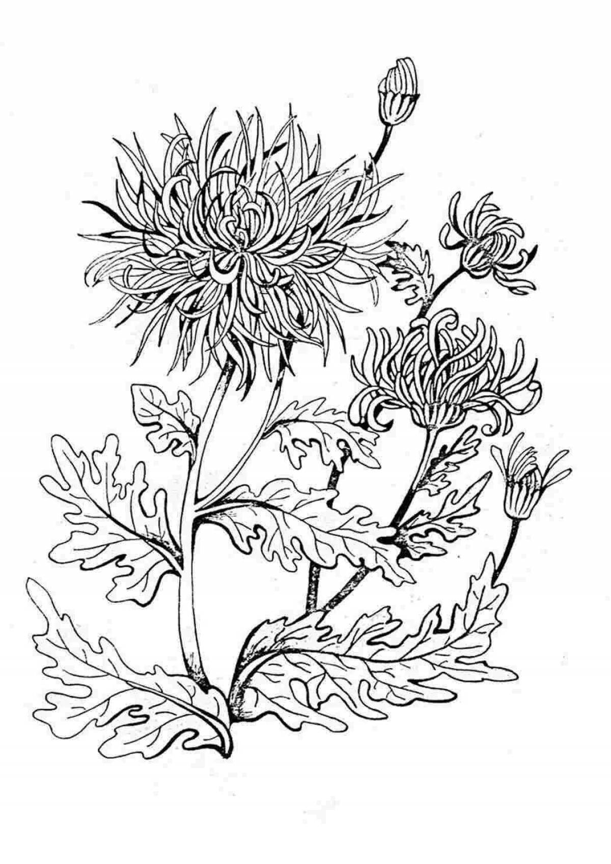 Great aster coloring book for kids