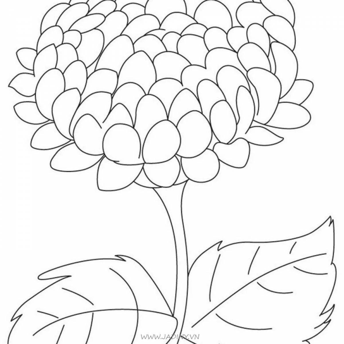 Animated asters coloring page for kids