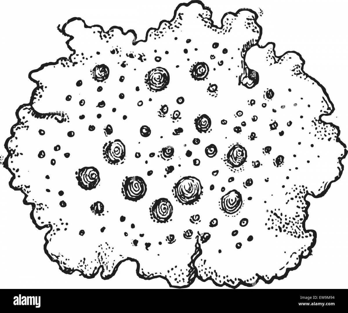 Sweet moss coloring pages for kids